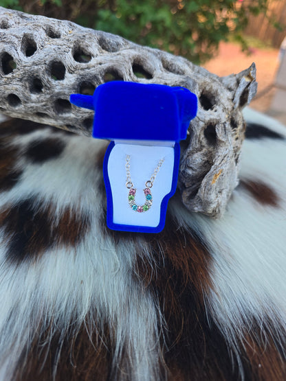 Multi Color Rhinestone Horseshoe Necklace w/ Horse Head Gift Box