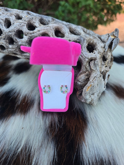 Multi Color Rhinestone Horseshoe Earrings w/ Horse Head Gift Box